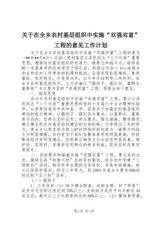 关于在全乡农村基层组织中实施“双强双富”工程的意见工作计划 