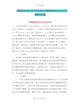 县药监局2024年工作计划与县药监局2024年工作计划例文汇编