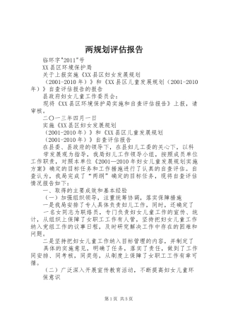 两规划评估报告 