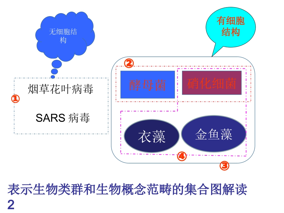 表示生物类群和生物概念范畴的集合图解读_第2页