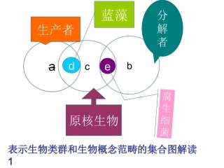 表示生物类群和生物概念范畴的集合图解读