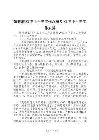 镇政府XX年上半年工作总结及XX年下半年工作安排 