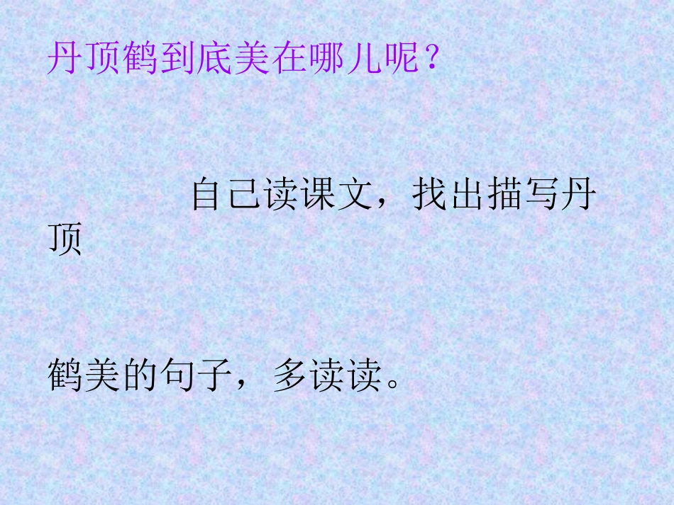 美丽的丹顶鹤3_第3页