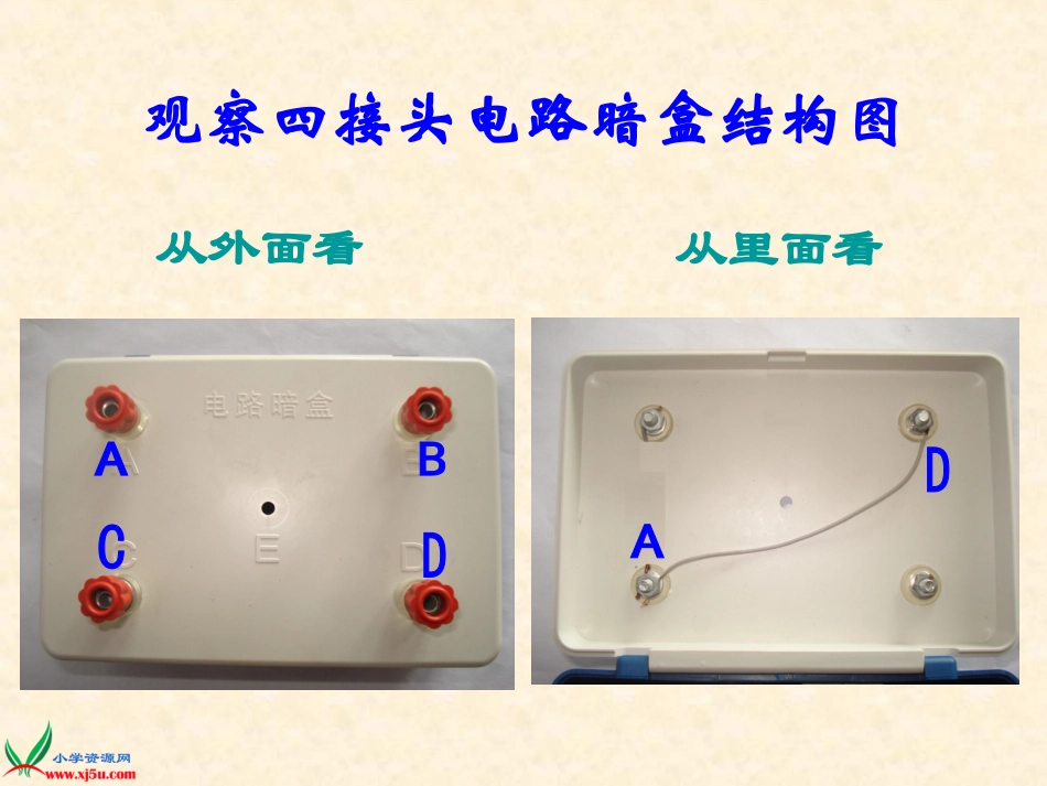 教科版四年级科学下册_第2页