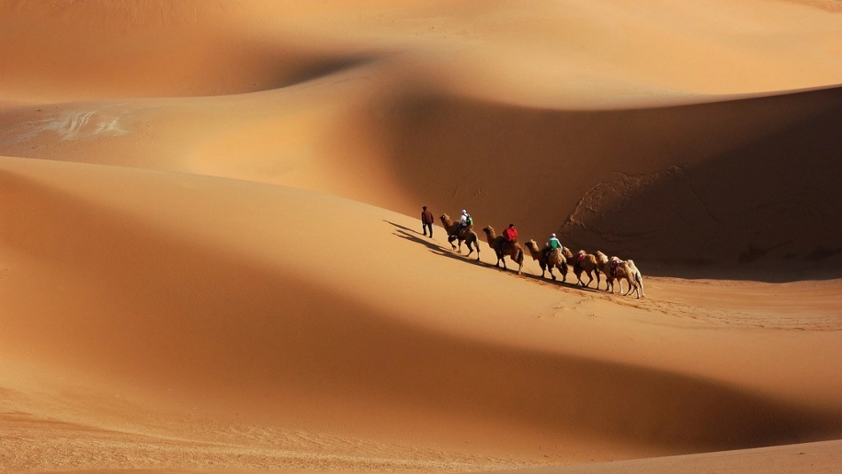 鄂教版小学语文六年级上册碛中作_第2页