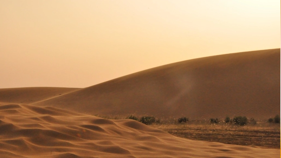 鄂教版小学语文六年级上册碛中作_第3页