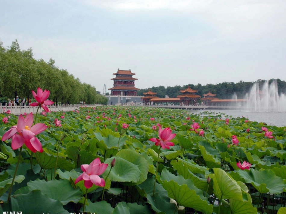 爱莲说优质课课件_第1页