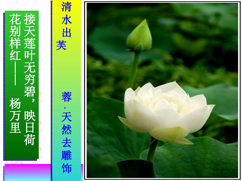 爱莲说优质课课件_第2页