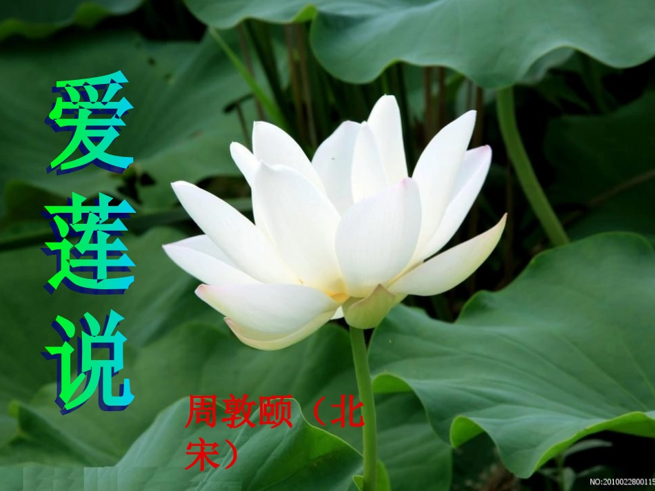 爱莲说优质课课件_第3页