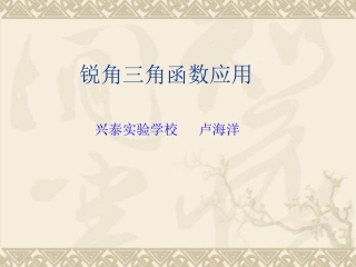 锐角三角函数应用