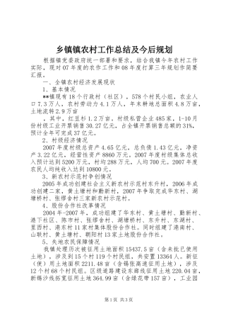 乡镇镇农村工作总结及今后规划 