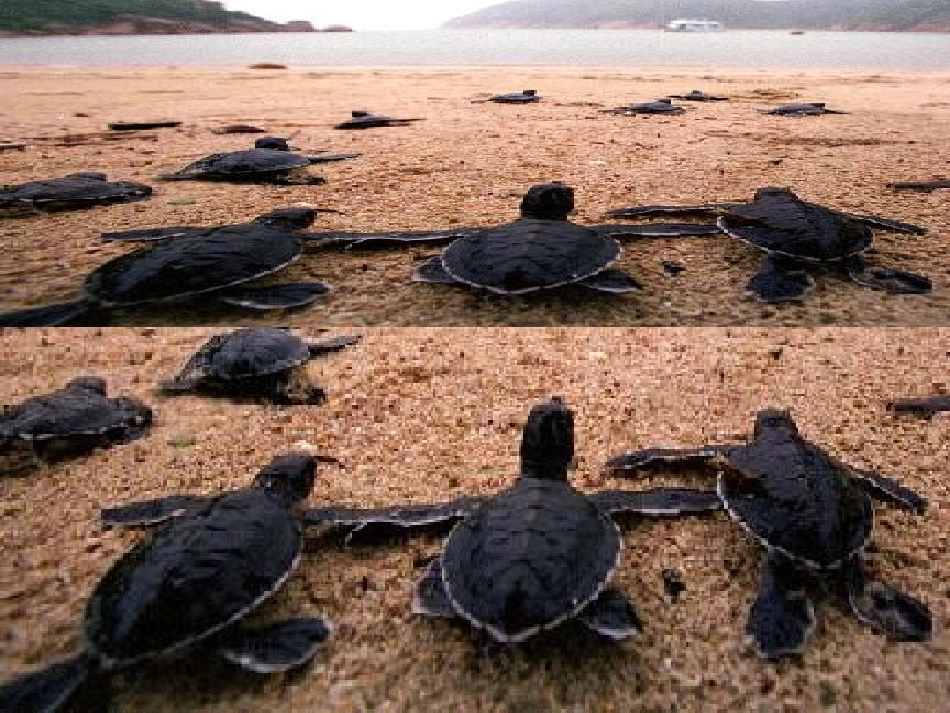 大自然的秘密 (2)_第2页