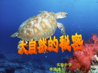 大自然的秘密 (2)