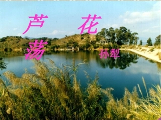 八年级语文上《芦花荡》课件