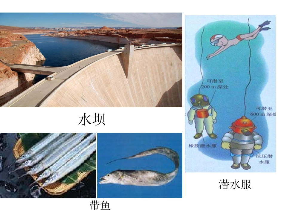 第二节液体的压强_第2页