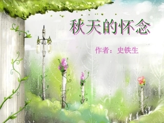 语文A版六下《秋天的怀念》PPT课件3