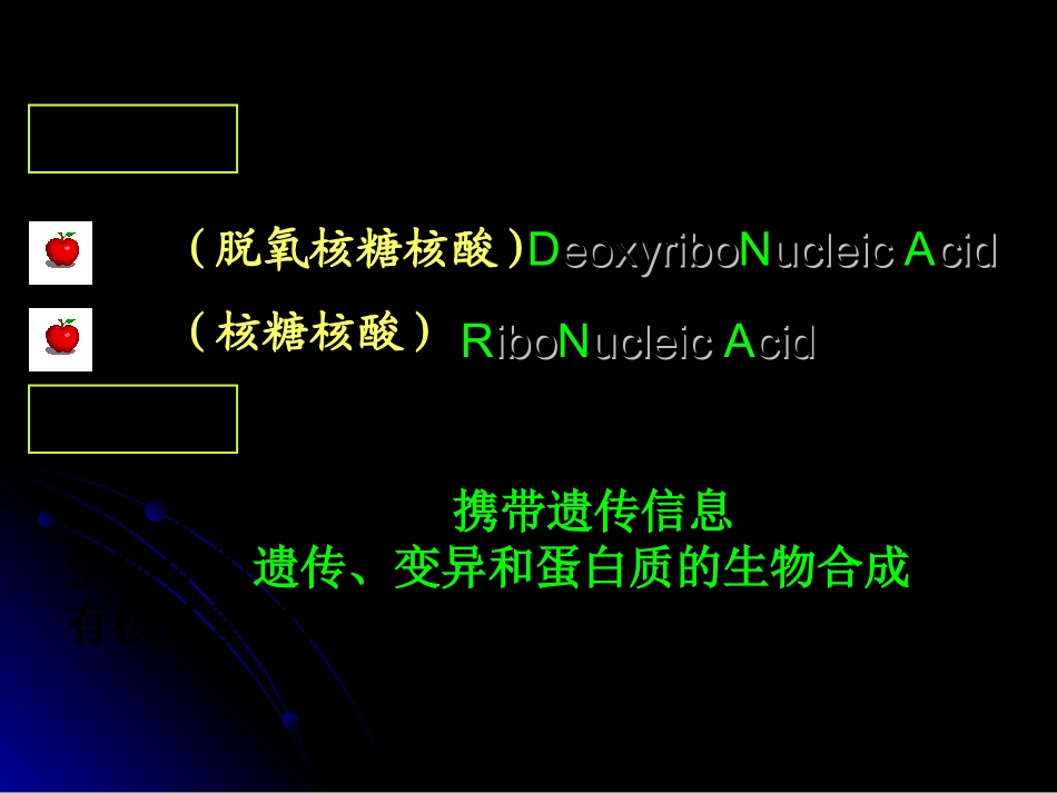 遗传信息携带者——核酸_第2页
