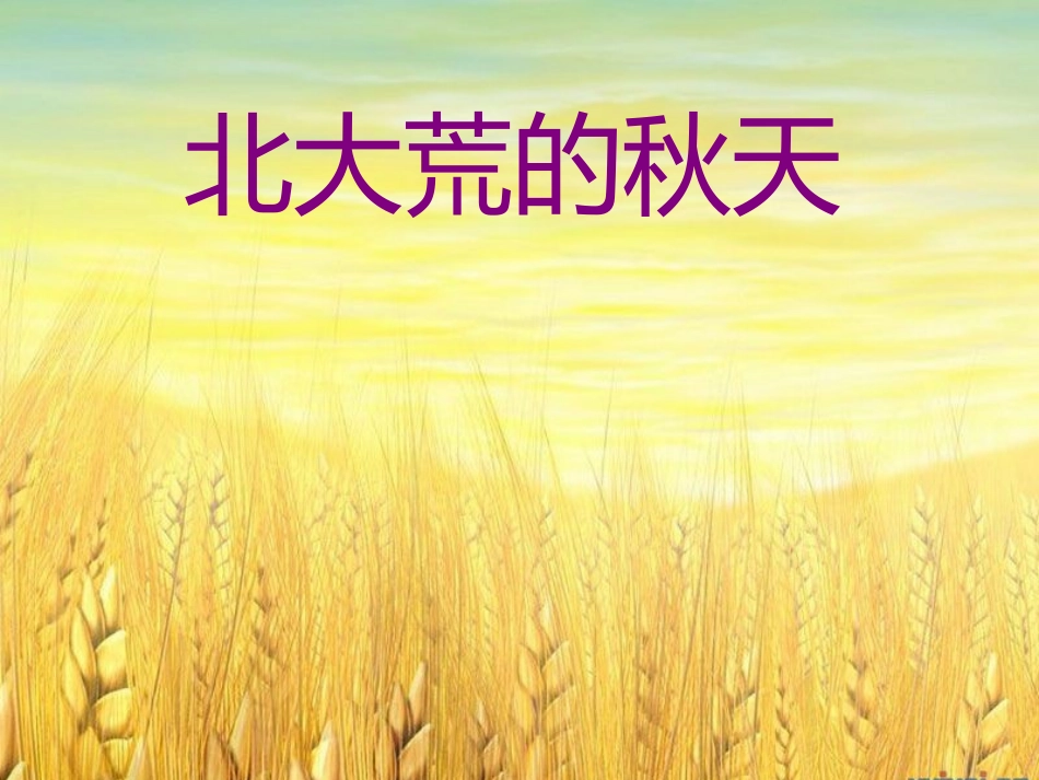 苏教三上《北大荒的秋天》_第1页