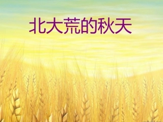 苏教三上《北大荒的秋天》