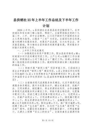 县供销社XX年上半年工作总结及下半年工作计划 