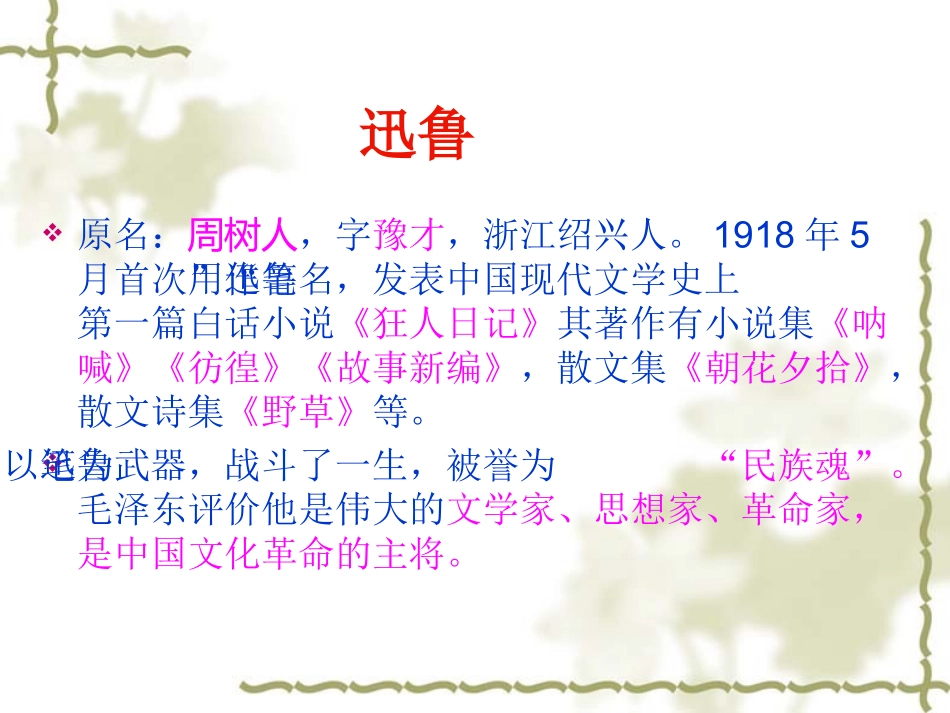 人教版六年级语文上册《少年闰土》课件_第3页