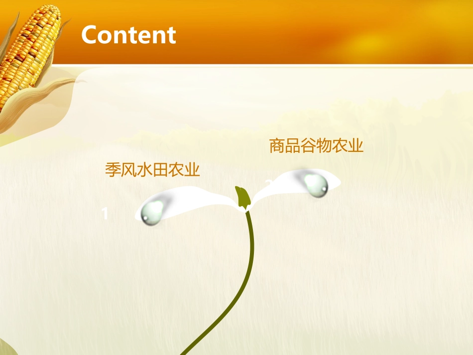 【原创】创新课件第二版高中地理同步教学精品课件：必修232以种植业为主的农业地域类型（22张）_第2页