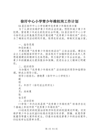 徐圩中心小学青少年维权岗工作计划 