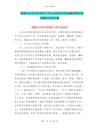 县重大公共卫生项目工作大会发言与县金融形势分析专题会发言汇编