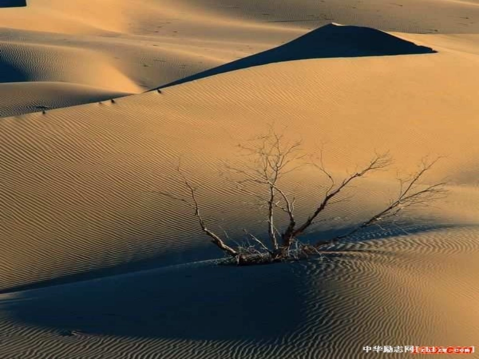 情系塞北江南课件_第3页