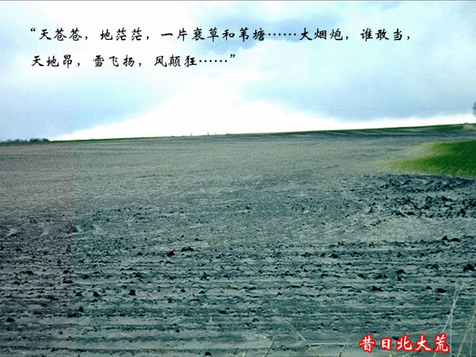 区域农业发展以我国东北地区为例_第3页