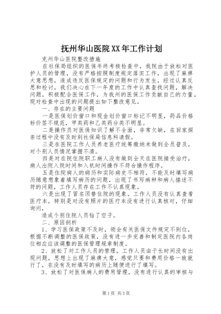 抚州华山医院XX年工作计划 