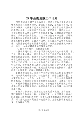 XX年县委巡察工作计划 