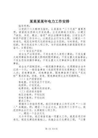 某某某某年电力工作安排 