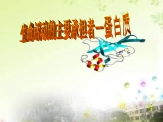 2015年221生命活动的主要承担者——蛋白质（必修一课件）