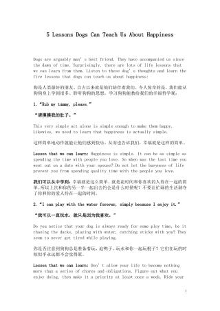 狗狗教给我们的幸福哲学观