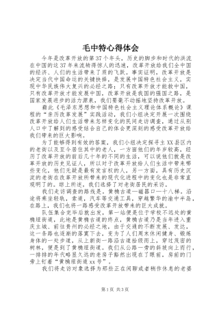 毛中特心得体会