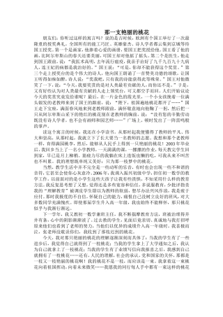 我的教师梦 (4)