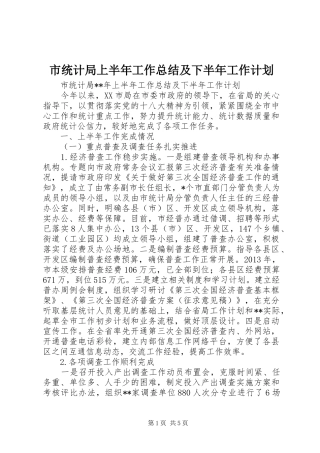 市统计局上半年工作总结及下半年工作计划 