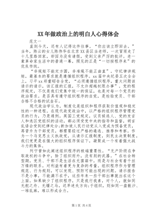 XX年做政治上的明白人心得体会