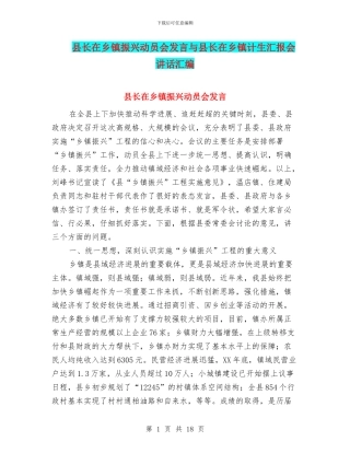 县长在乡镇振兴动员会发言与县长在乡镇计生汇报会讲话汇编