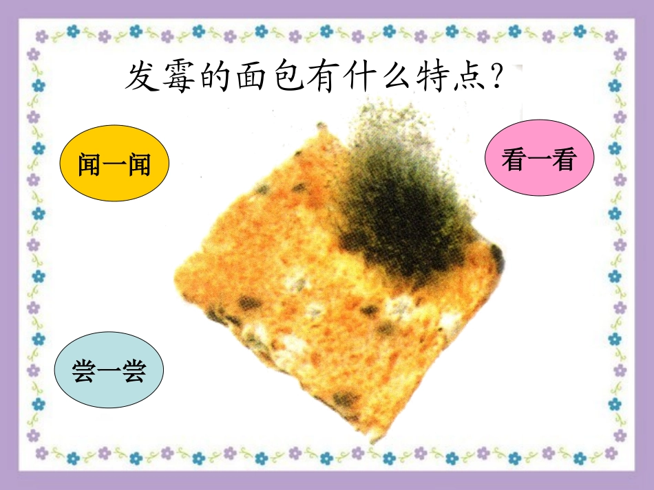 面包发霉了课件_第2页