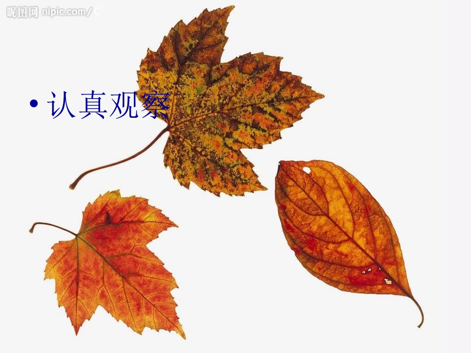 拥抱认真，告别拖拉主题班会_第3页