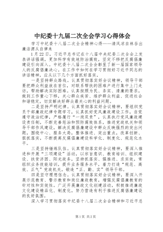 中纪委十九届二次全会学习心得体会