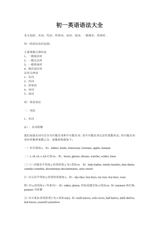 初一英语语法大全