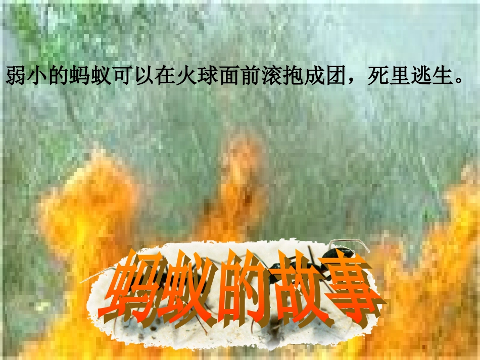 《斑羚飞渡》123456_第2页