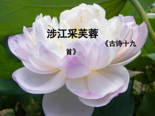 涉江采芙蓉公开课(1)