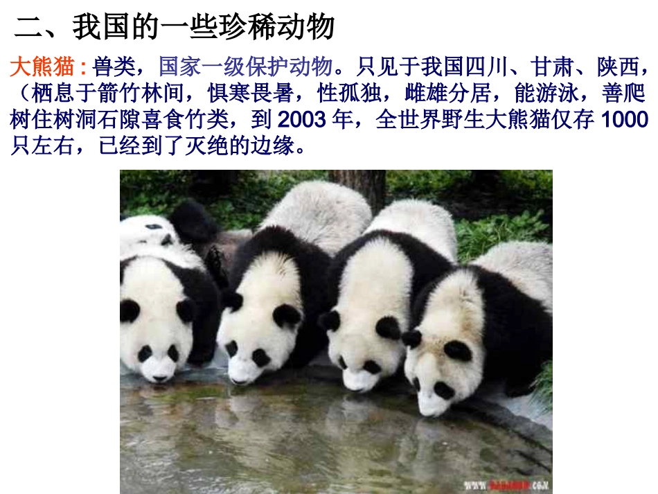 粤教版小学六年级科学下册《保护生物资源》课件_第2页