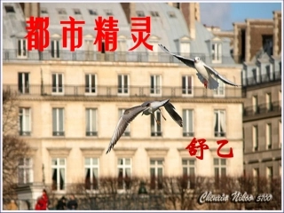 《都市精灵》（七年级）