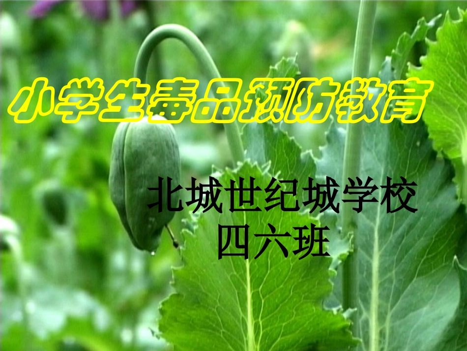 四六班小学生毒品预防教育_第1页