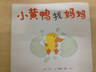 小黄鸭找妈妈